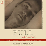 front cover of Bull