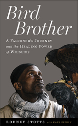 front cover of Bird Brother