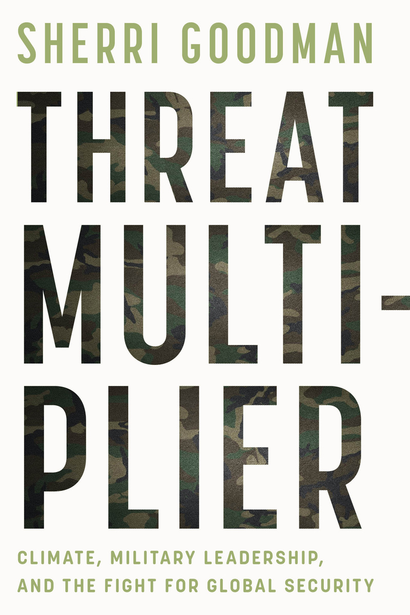 front cover of Threat Multiplier