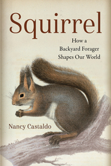 front cover of Squirrel