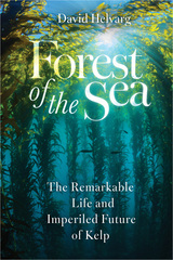 front cover of Forest of the Sea