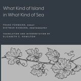front cover of What Kind of Island in What Kind of Sea?