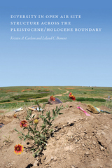 front cover of Diversity in Open-Air Site Structure across the Pleistocene/Holocene Boundary