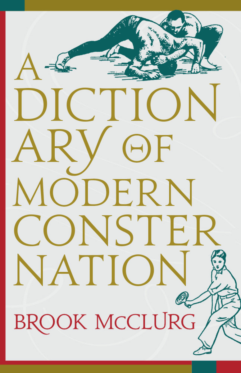 front cover of A Dictionary of Modern Consternation