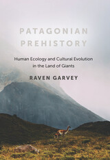 front cover of Patagonian Prehistory