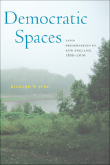 front cover of Democratic Spaces