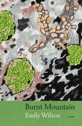 front cover of Burnt Mountain
