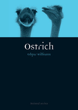 front cover of Ostrich