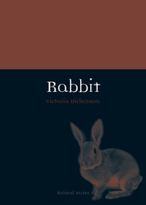 front cover of Rabbit