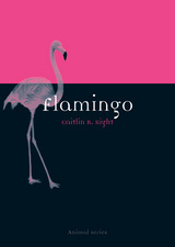front cover of Flamingo