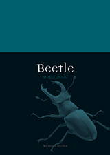 front cover of Beetle