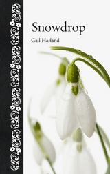 front cover of Snowdrop