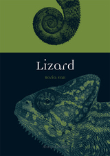 front cover of Lizard