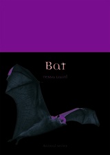 front cover of Bat