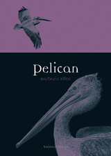 front cover of Pelican