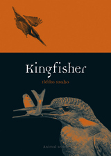 front cover of Kingfisher