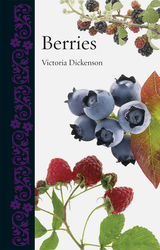 front cover of Berries