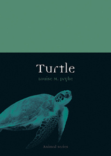 front cover of Turtle