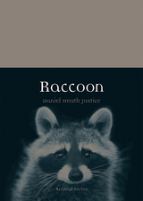front cover of Raccoon