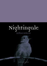 front cover of Nightingale