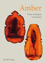 front cover of Amber