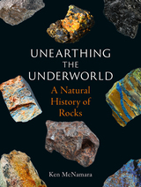 front cover of Unearthing the Underworld