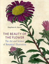 front cover of The Beauty of the Flower