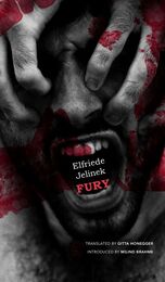 front cover of Fury