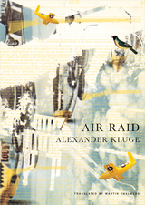 front cover of Air Raid