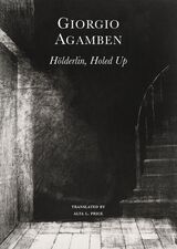 front cover of Hölderlin’s Madness