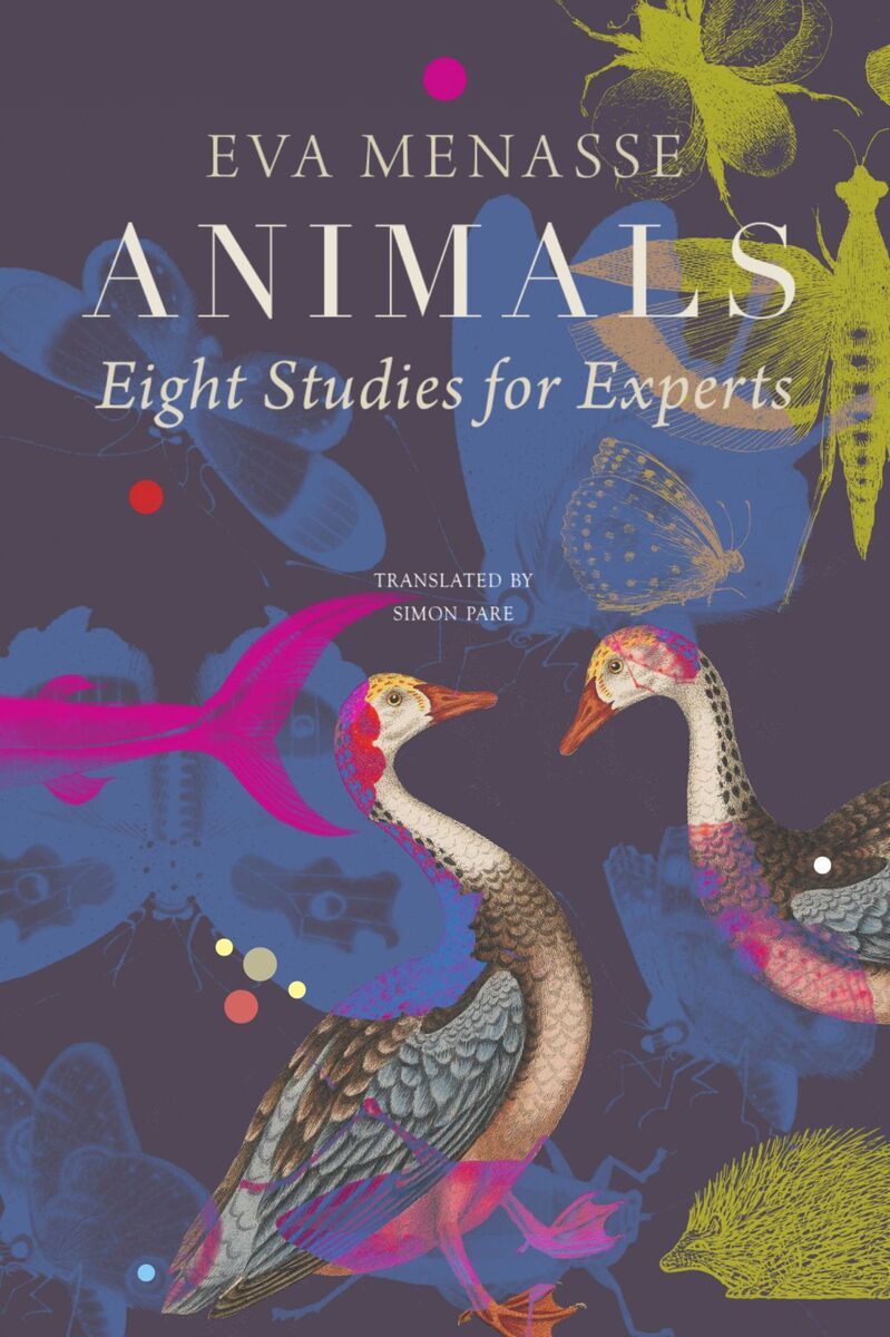 front cover of Animals