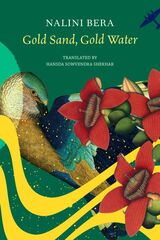front cover of Gold Sand, Gold Water