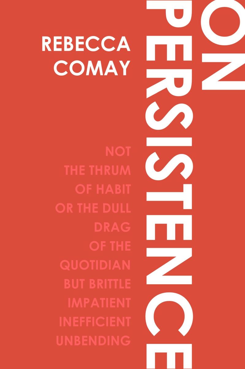 front cover of On Persistence