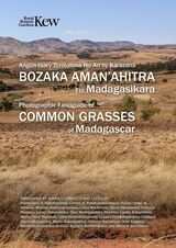 recently-published book cover