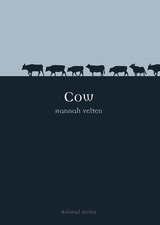 front cover of Cow