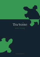 front cover of Tortoise
