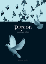 front cover of Pigeon