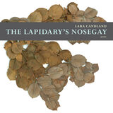 front cover of The Lapidary's Nosegay