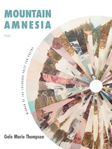 front cover of Mountain Amnesia