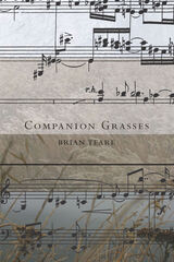 front cover of Companion Grasses