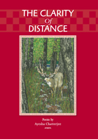 front cover of The Clarity of Distance
