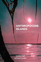 front cover of Anthropocene Islands
