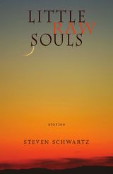 front cover of Little Raw Souls