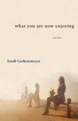 front cover of What You Are Now Enjoying