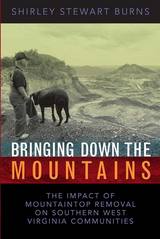 front cover of BRINGING DOWN THE MOUNTAINS