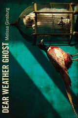 front cover of Dear Weather Ghost