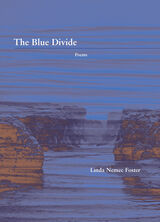 front cover of The Blue Divide