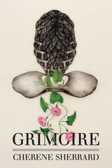 front cover of Grimoire