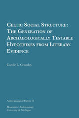 Celtic Social Structure