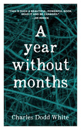 front cover of A Year without Months